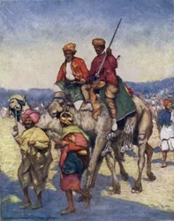 Kamele aus Mysore